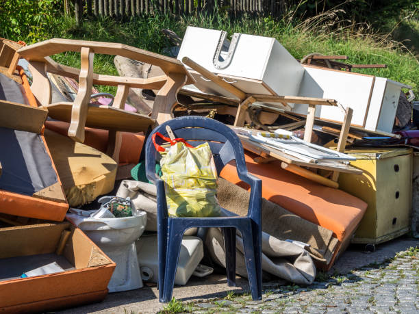 Best Dumpster Rental Services  in De Soto, IL