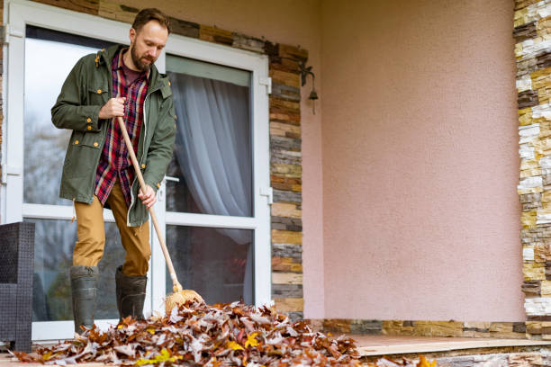 Best Attic Cleanout Services  in De Soto, IL